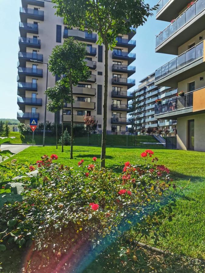 Apartamentul 116 Apartment คลูจ-นาโปกา ภายนอก รูปภาพ